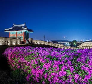 Night view of Suwon Hwaseong Fortress with azaleas in full bloom.